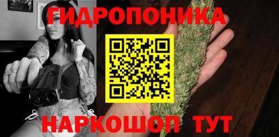 мдпв Лесосибирск