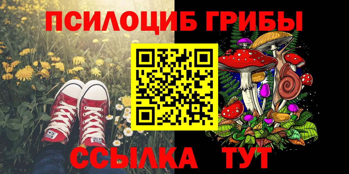Псилоцибиновые грибы мухоморы Елец