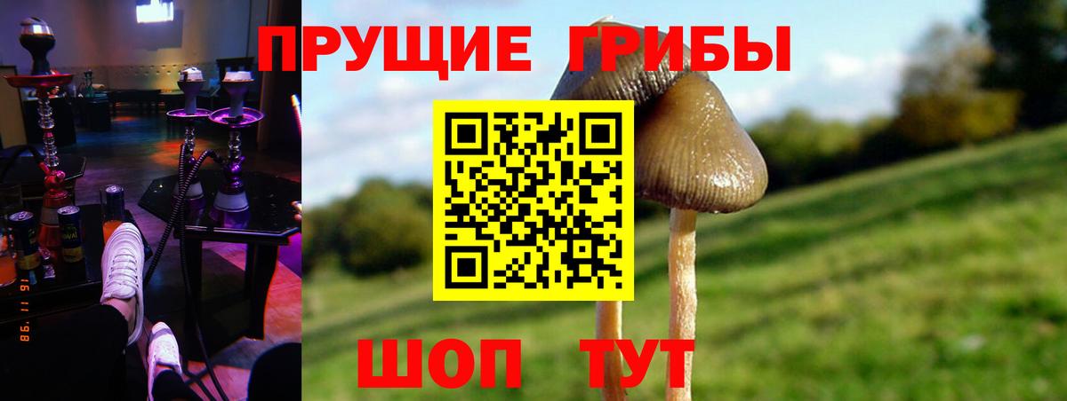 Псилоцибиновые грибы мухоморы  как найти закладки  Елец  Вход с VPN  Галлюциногенные грибы GOLDEN TEACHER 